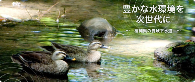 豊かな水環境を次世代に〜福岡県の流域下水道〜　生きもの
