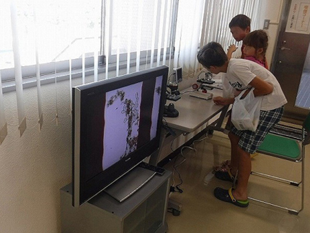 顕微鏡をのぞき込む子供たちの写真
