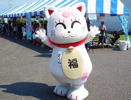 追い出し猫のさくらちゃん（宮若市）