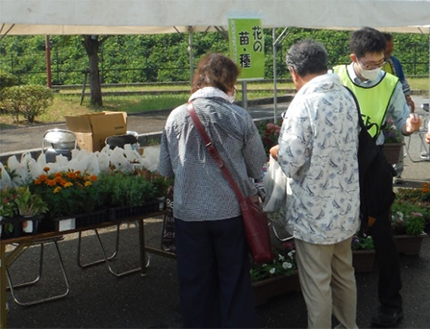 花の苗・種配布２