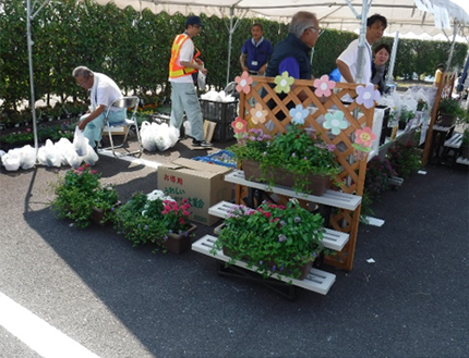 花苗・コンポスト配布１